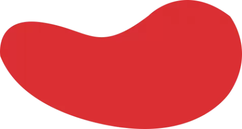 新利体育·luck18(中国)官方网站